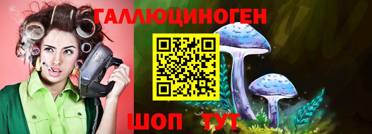 Щёлково  Галлюциногенные грибы Magic Shrooms  Вход с VPN 